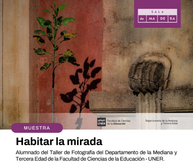 Habitar la mirada