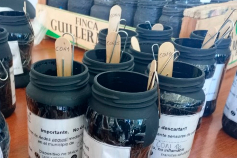 Dengue: monitorean ovitrampas y realizan descacharrización en barrios de Paraná