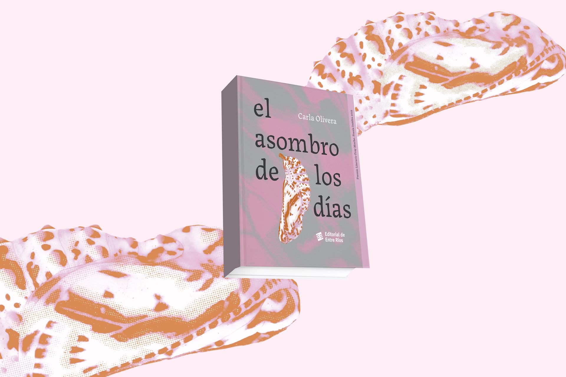 La Editorial de Entre Ríos presenta un libro ganador del Fray Mocho en género Poesía