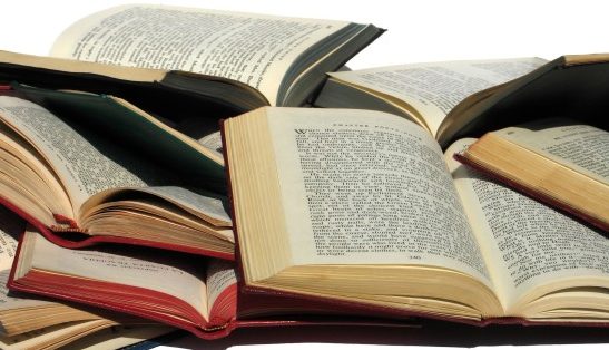 La peatonal nuevamente será "La calle de los libros"