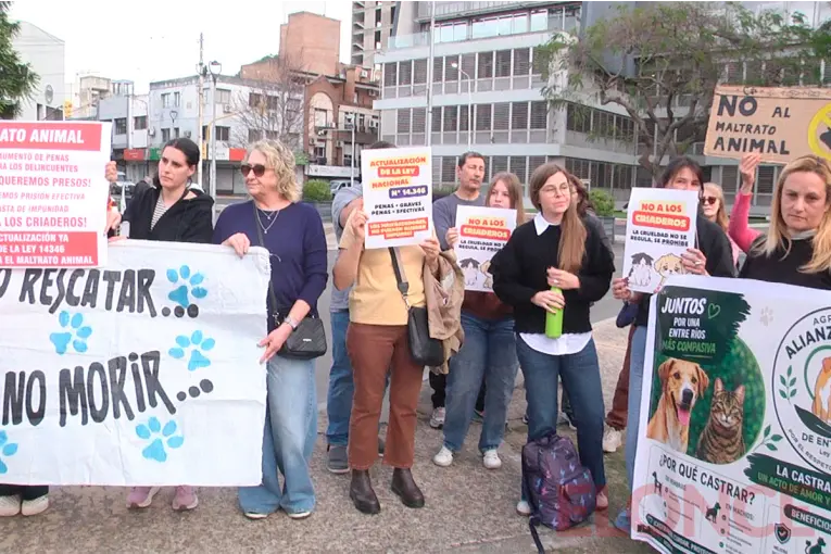 Proteccionistas marcharon en Paraná para exigir mayores penas por maltrato animal