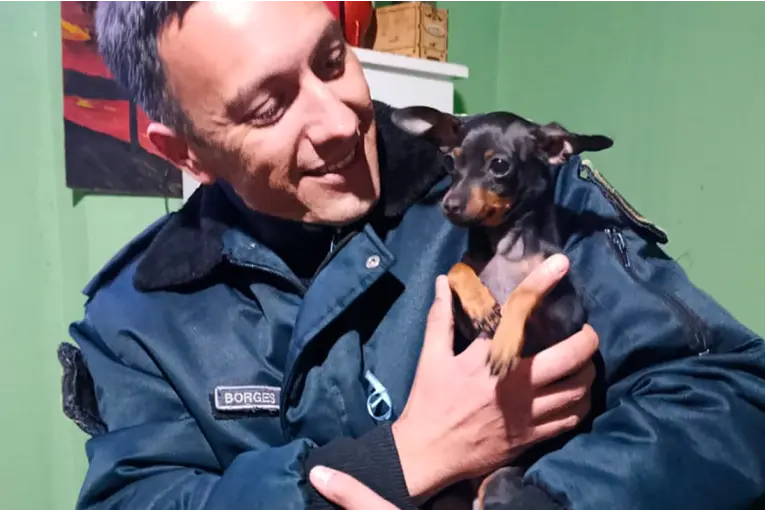 Recuperaron un perro por un caso de maltrato animal en Paraná