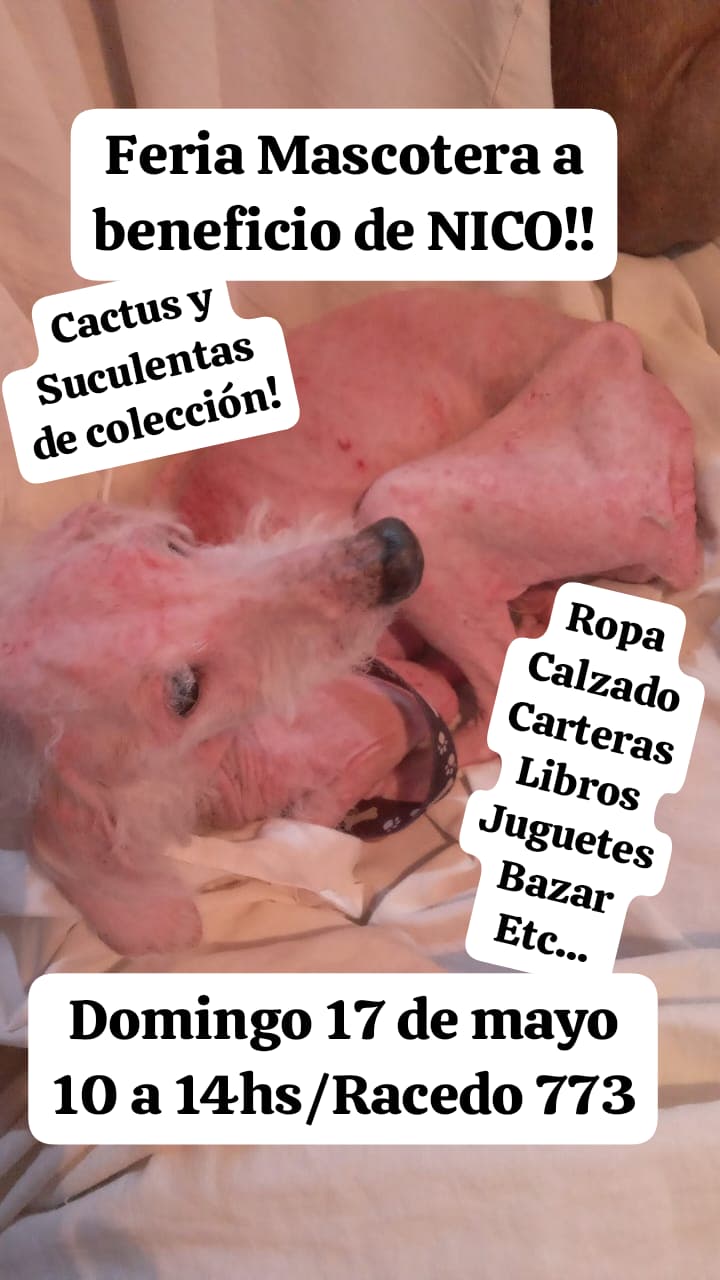 Feria Solidaria por Nico